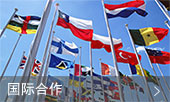 国际合作